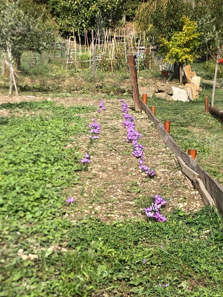 Il Borghetto Di Carra Διαμέρισμα Talla Εξωτερικό φωτογραφία